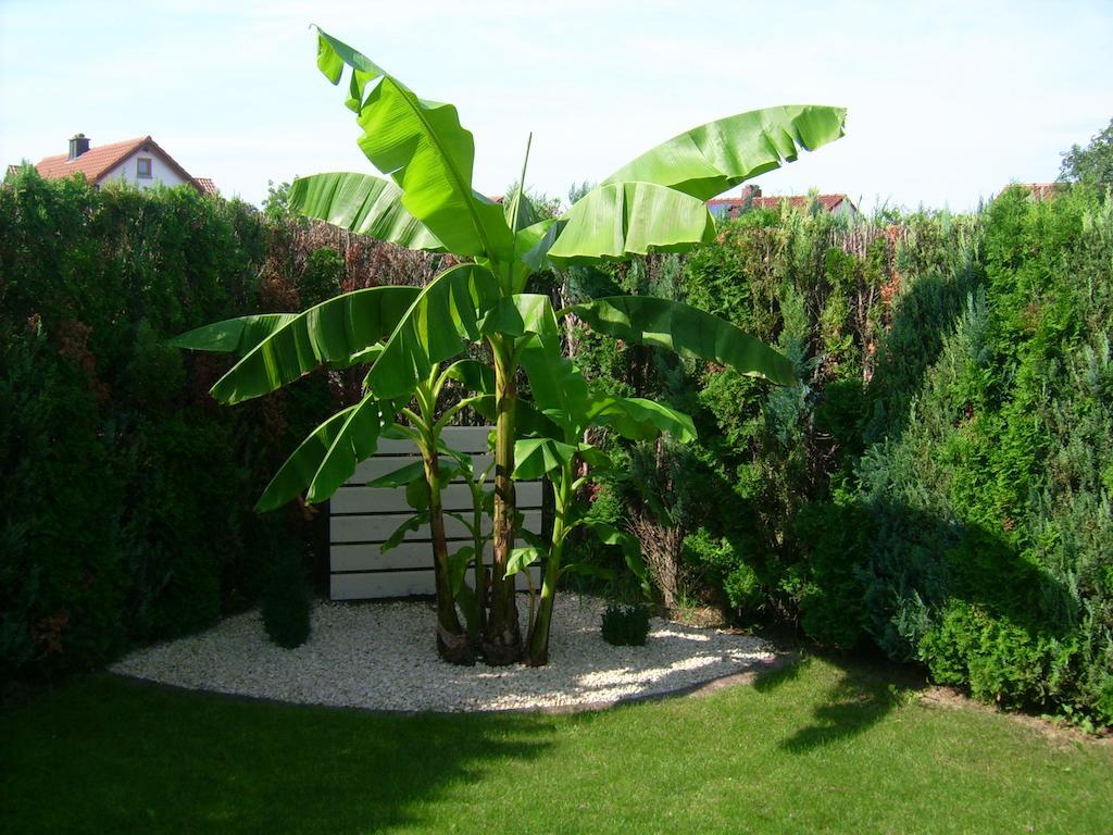 Ferienhaus Schwoerer ไรห์นเฮาเซน ห้อง รูปภาพ